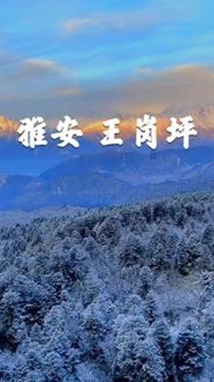日式花园拼拼看
