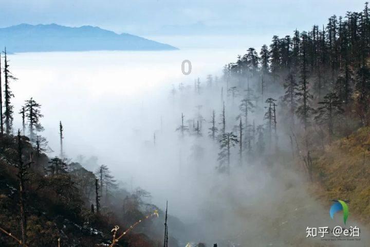 天国拯救