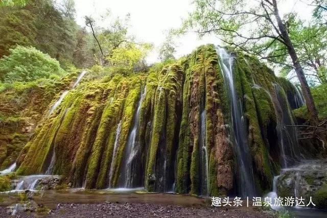 虫虫助手下载