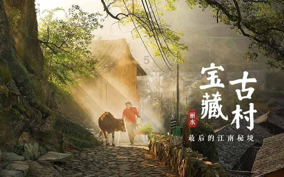 无创呼吸机治疗是否适用于不同类型的呼吸疾病?