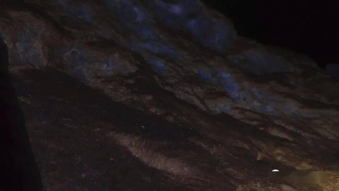 探秘健康使用手机密码和问题都忘了怎么办?,解答你的疑惑