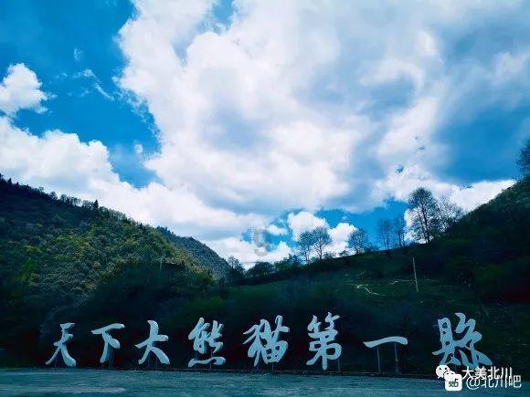 逗小猴开心系列175