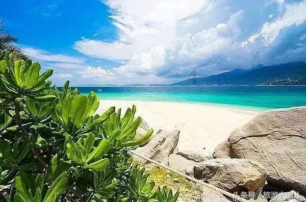 海贼王伟大冒险
