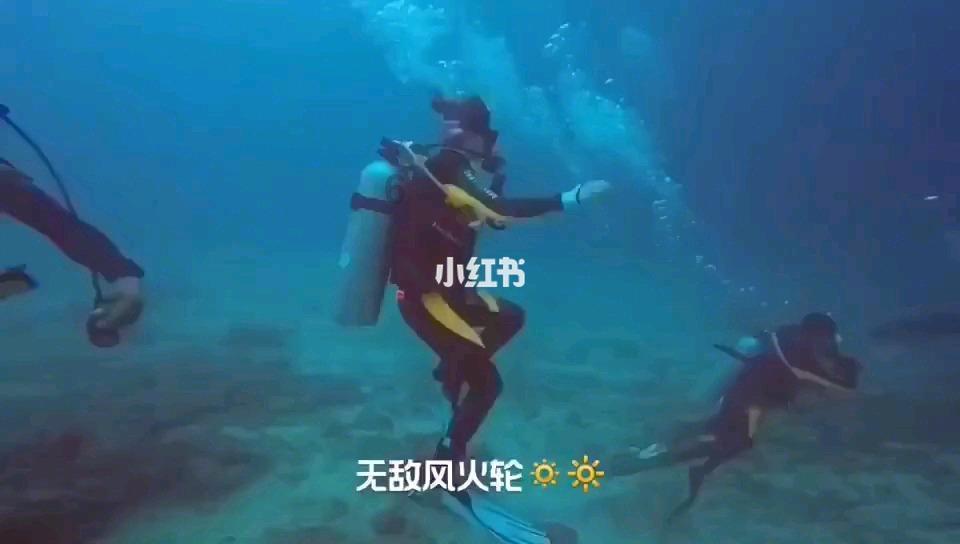 夏季纽扣裙