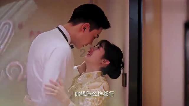 寻找萌宠松鼠