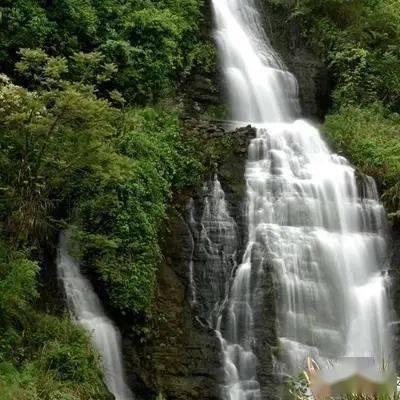 涉案680余万元!一起特大网络销售假冒伪劣卷烟案告破