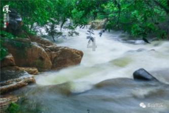 青岛高新区:动力激荡 向“新”而行
