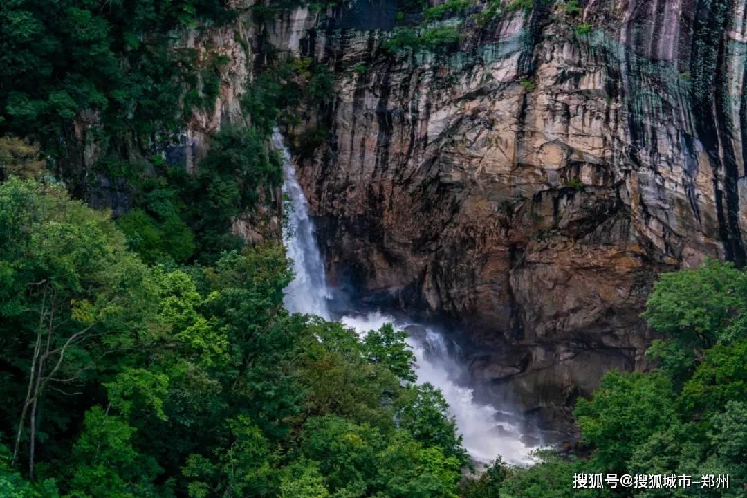 除鬼师