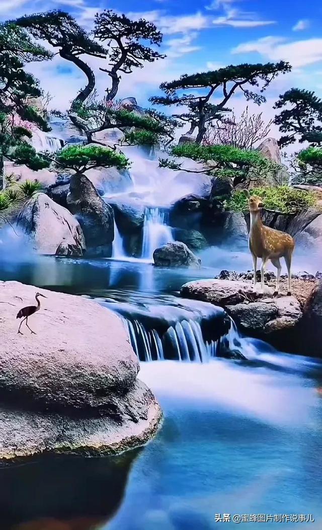 次元喵