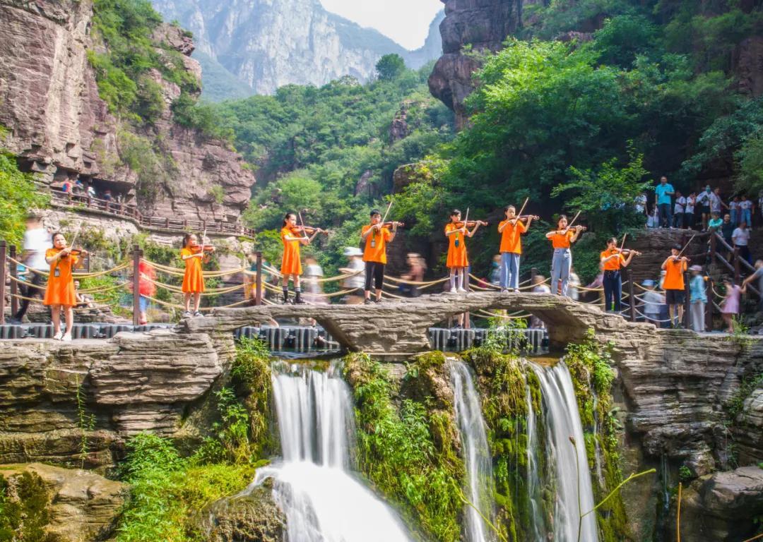梦想的后院