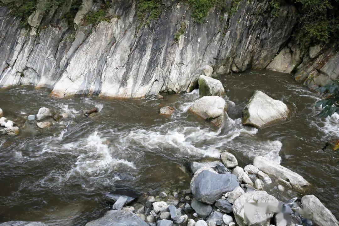 牛油果面包