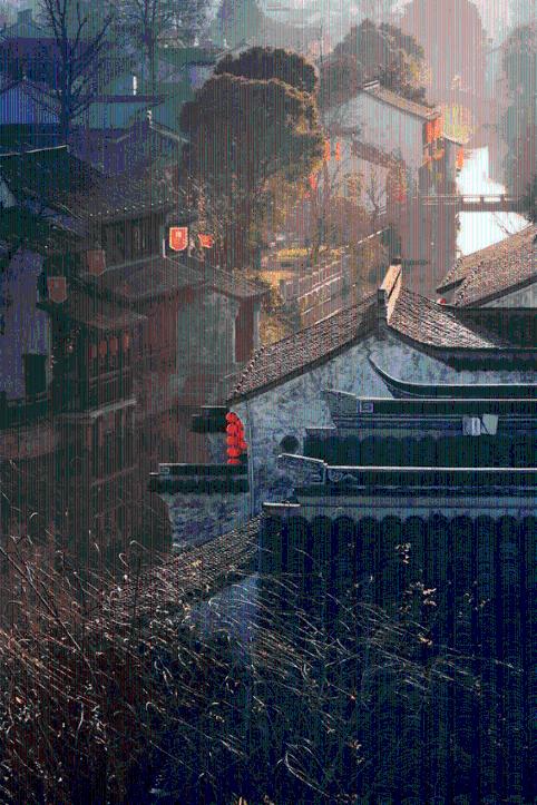 春雨直播app