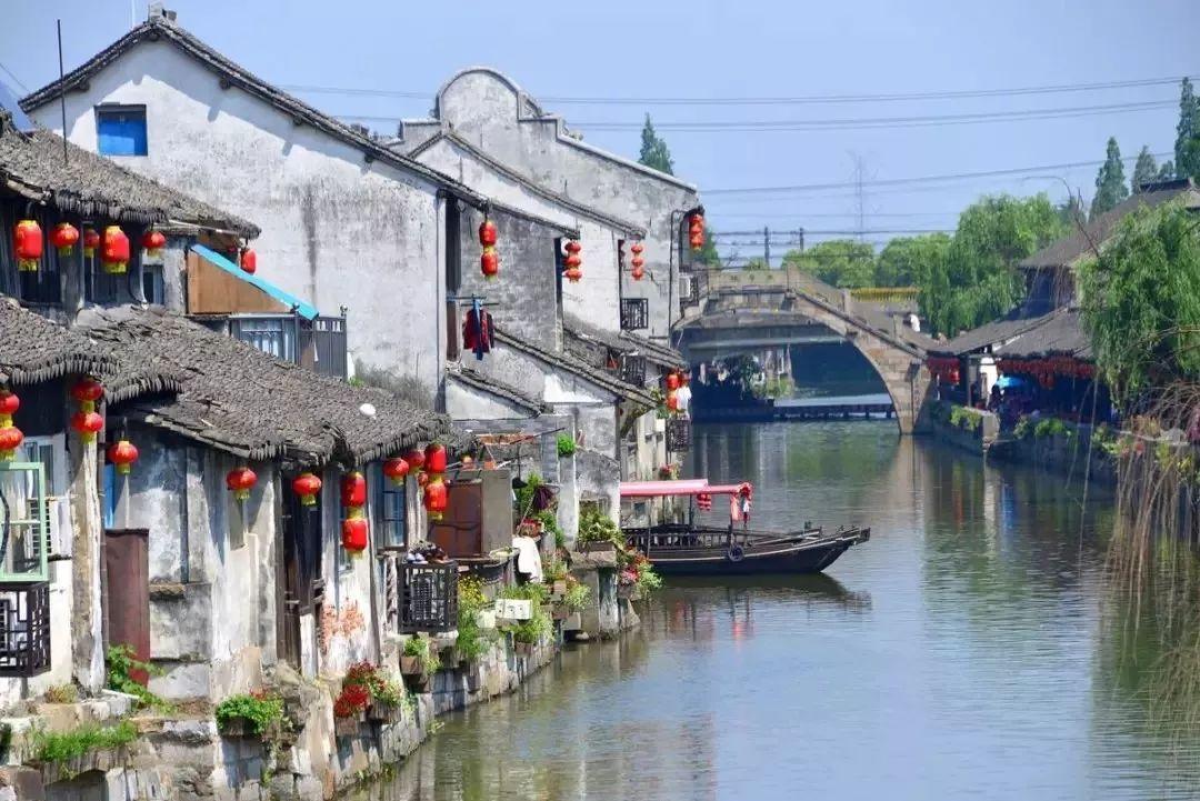 解救金刚鹦鹉