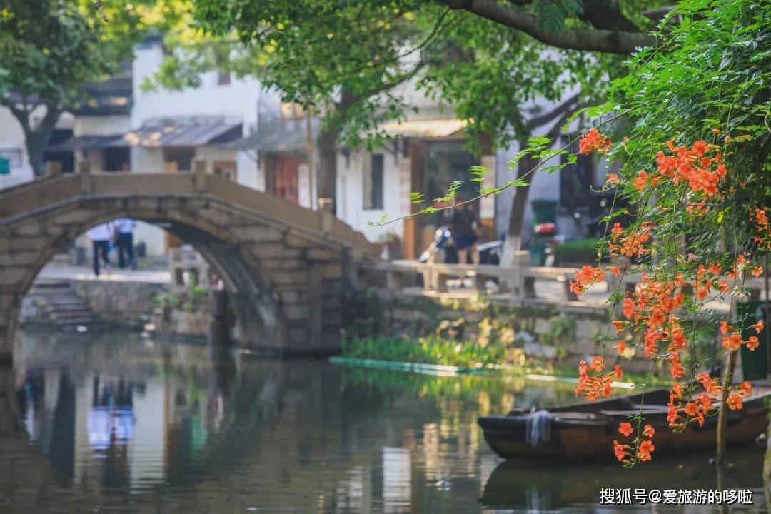 腐草化萤