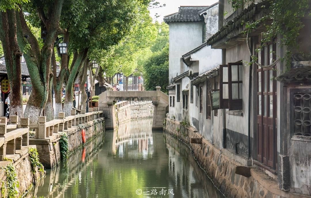 缉毒英雄:守护国家安全,追寻光荣使命与责任,无惧艰险勇往直前!