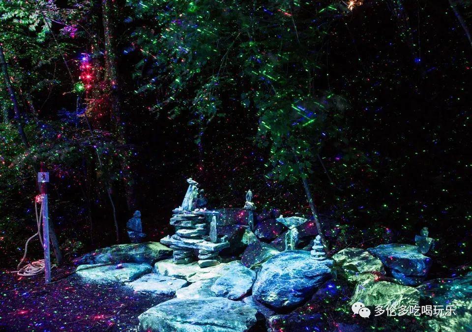 星动，只为你